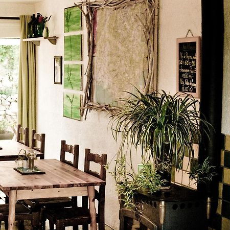 Gite De La Baume , Aux Delices Du Verdon Castellane Ngoại thất bức ảnh
